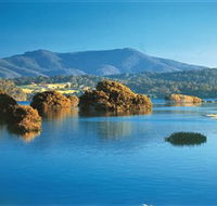 Wagonga Picnic Area - Accommodation Perth