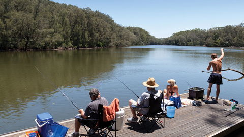 Bongil Bongil National Park - Accommodation Perth 1