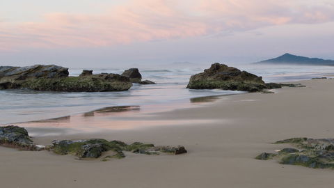 Bongil Bongil National Park - Accommodation Perth 3