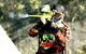Elite 1 Paintball - thumb 2