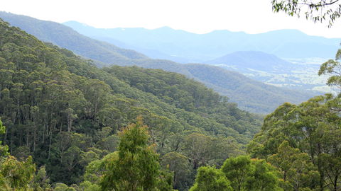 South East Forests National Park - Perth Resorts 1
