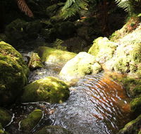 South East Forests National Park - Accommodation Perth