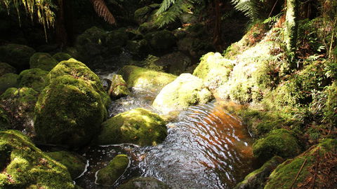 South East Forests National Park - Perth Resorts 0