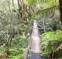 Bemm River Scenic Reserve - Perth Resorts
