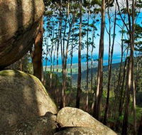 Mount Gulaga Mount Dromedary Walk - Accommodation Perth