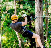 TreeTop Challenge Currumbin - Accommodation Perth