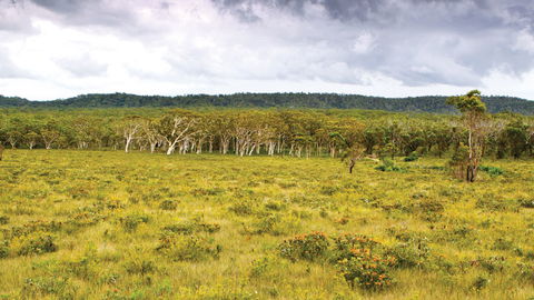 Yuraygir National Park - Accommodation Perth 0