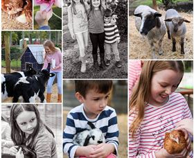 Roses Vineyard And Animal Farm - Perth Resorts 1