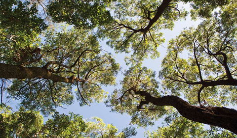 Coffs Coast Regional Park - Accommodation Perth 2