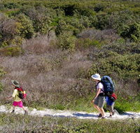 Yuraygir coastal walk - Accommodation Perth