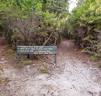Angophora grove walking track - Accommodation Perth