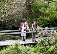 Wilsons Headland walking track - Accommodation Perth