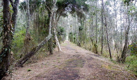 Walk On Water Walking Track - Accommodation Perth 2