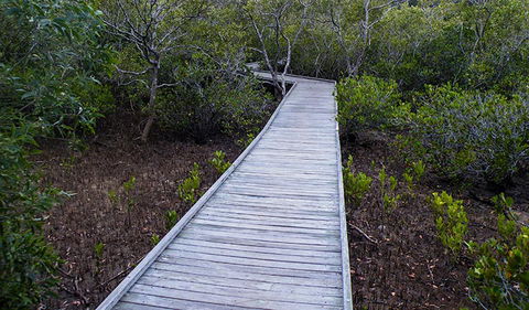 Walk On Water Walking Track - Accommodation Perth 3