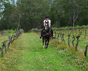 Port Macquarie Horse Riding Centre - Accommodation Perth 1