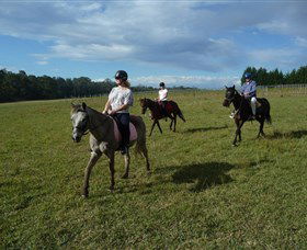 Port Macquarie Horse Riding Centre - Accommodation Perth 5
