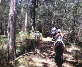 Port Macquarie Horse Riding Centre - Accommodation Perth 4