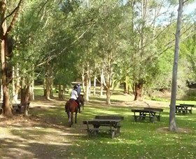 Port Macquarie Horse Riding Centre - Accommodation Perth 6