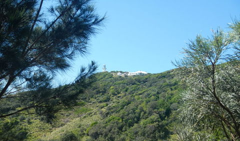 Jack Perkins Walking Track - Accommodation Perth 3
