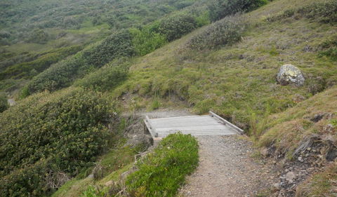Connors Walking Track - Perth Resorts 2