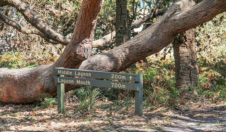 Stony Creek NSW Accommodation Perth