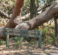 Middle Lagoon walking track - Accommodation Perth