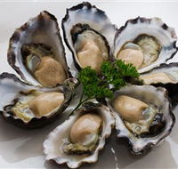 Tathra Oysters - Accommodation Perth