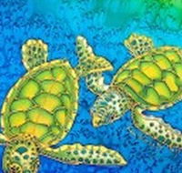 Sea Silks Gallery - Accommodation Perth