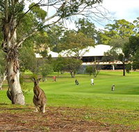Pambula Merimbula Golf Club - Accommodation Perth
