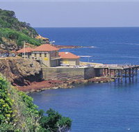 Merimbula Aquarium - Accommodation Perth