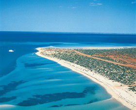 Monkey Mia WA Accommodation Perth