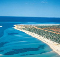 Monkey Mia - Accommodation Perth