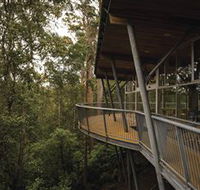 Tarkine Forest Adventures - Dismal Swamp - Accommodation Perth