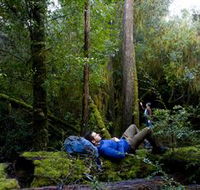 The Tarkine Drive - Accommodation Perth