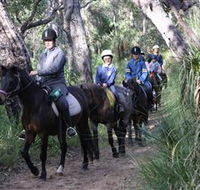 Mirravale Horse Riding School - Accommodation Perth