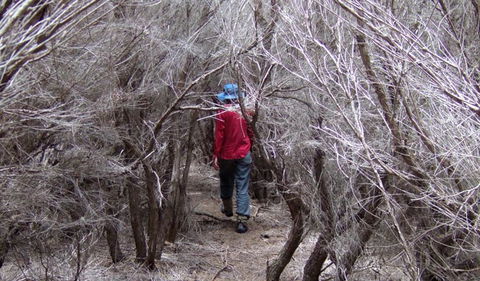 Nadgee Nature Reserve - Accommodation Perth 3