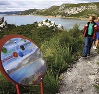 Rocky Cape National Park - Accommodation Perth