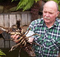 Lobster Ponds - Accommodation Perth