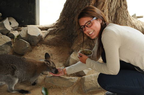 Autopia Tours - Accommodation Perth 6
