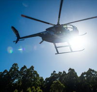 Tall Timbers Adventure Tours - Accommodation Perth