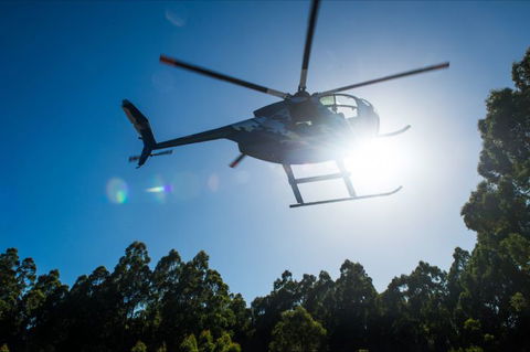 Tall Timbers Adventure Tours - Accommodation Perth 1