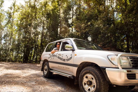 Tall Timbers Adventure Tours - Accommodation Perth 8