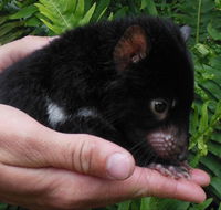 Crawn Motors - Accommodation Perth