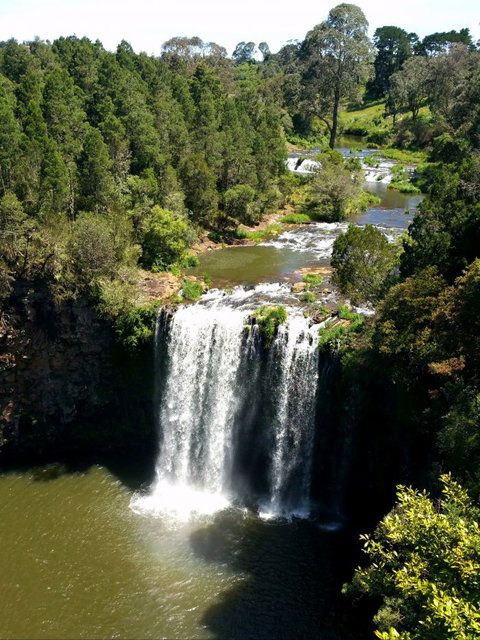 A1 Coffs Coast Tours - Accommodation Perth 4