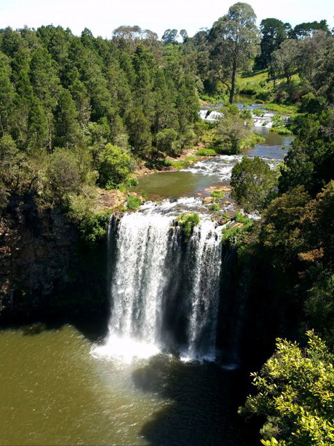 A1 Coffs Coast Tours - Accommodation Perth 6