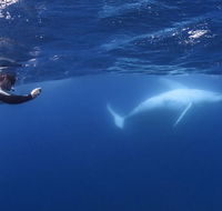 Sunreef Mooloolaba - Perth Resorts