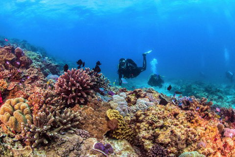 Sunreef Mooloolaba - Accommodation Perth 7