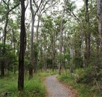 Caboolture Regional Environment Education Centre - Walking Trails - Accommodation Perth