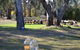 Glendale Citrus & Hazelnut Orchard - thumb 0