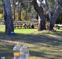 Glendale Citrus  Hazelnut Orchard - Accommodation Perth